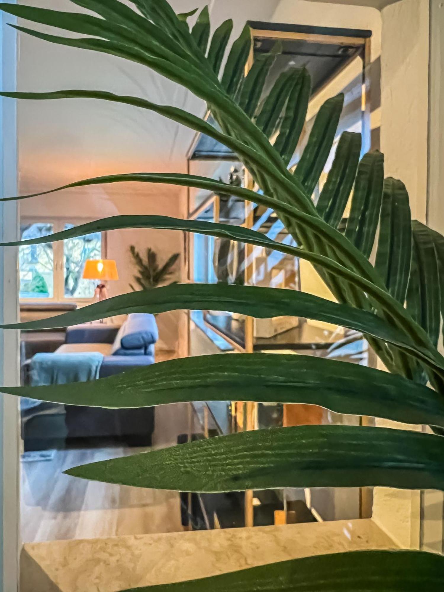 Kokomani Living Apartment